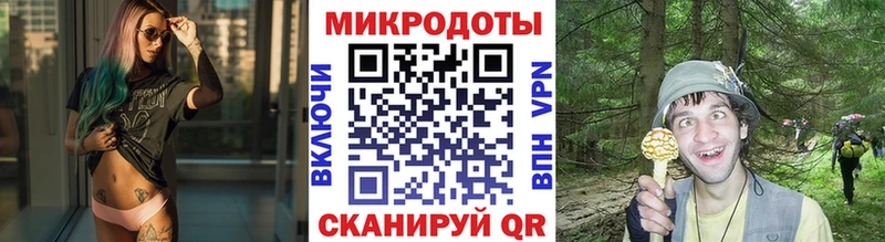 kraken онион  Мариинск  Псилоцибиновые грибы прущие грибы 